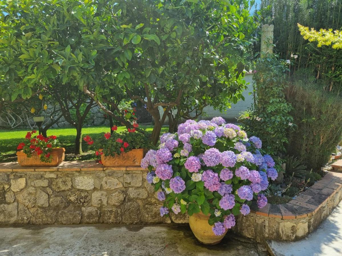 Il Ruscello Bed & Breakfast Maratea Exterior photo