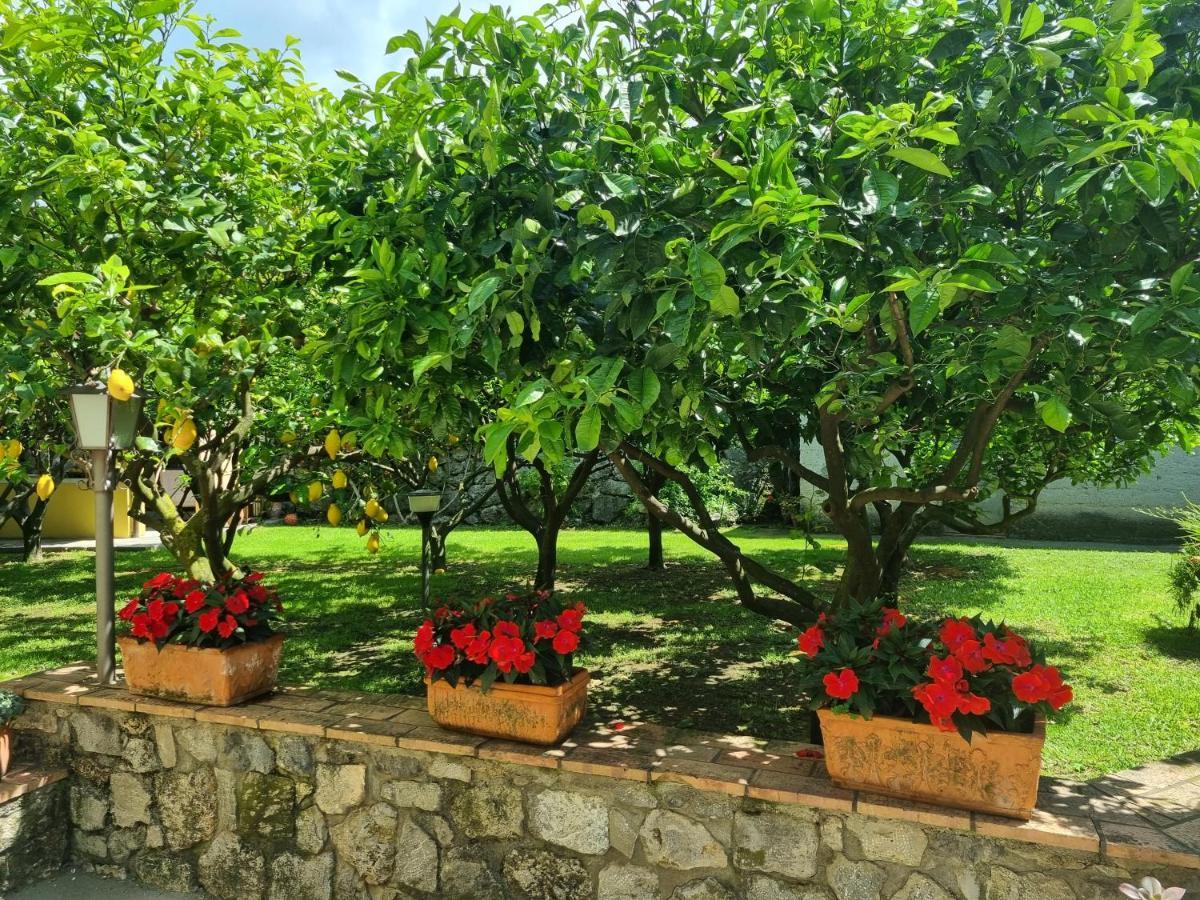 Il Ruscello Bed & Breakfast Maratea Exterior photo