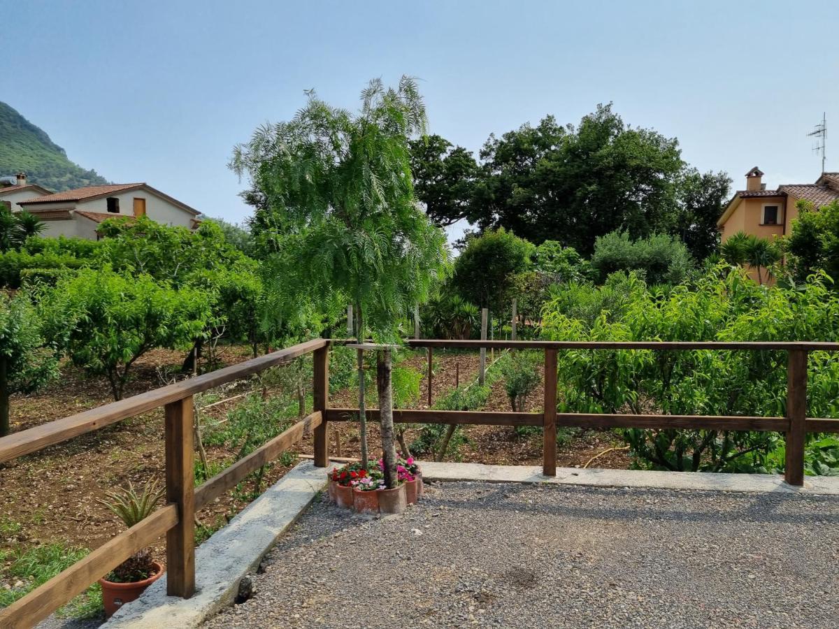Il Ruscello Bed & Breakfast Maratea Exterior photo
